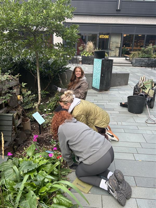 PLANT initiative UK team