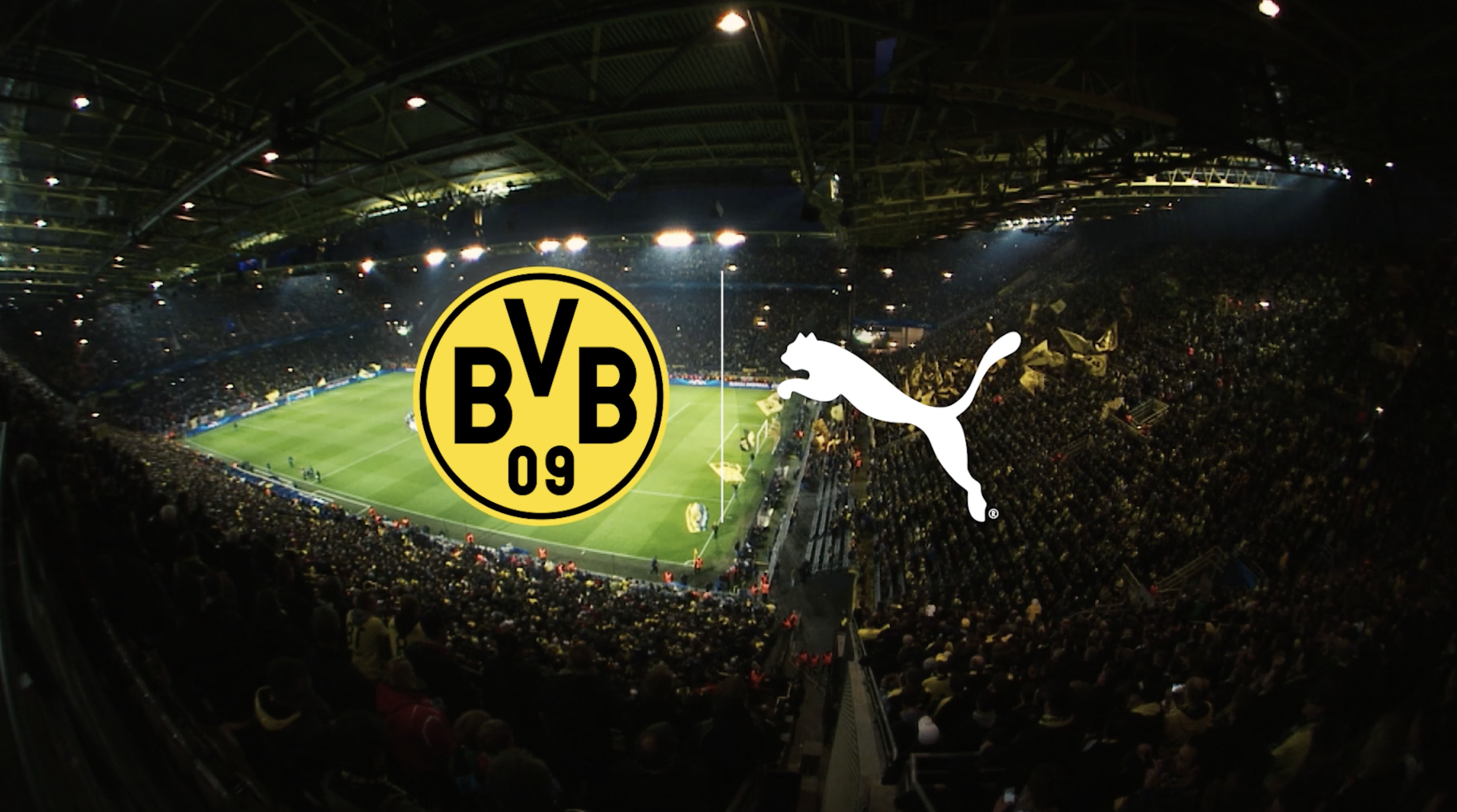 PUMA and BVB
