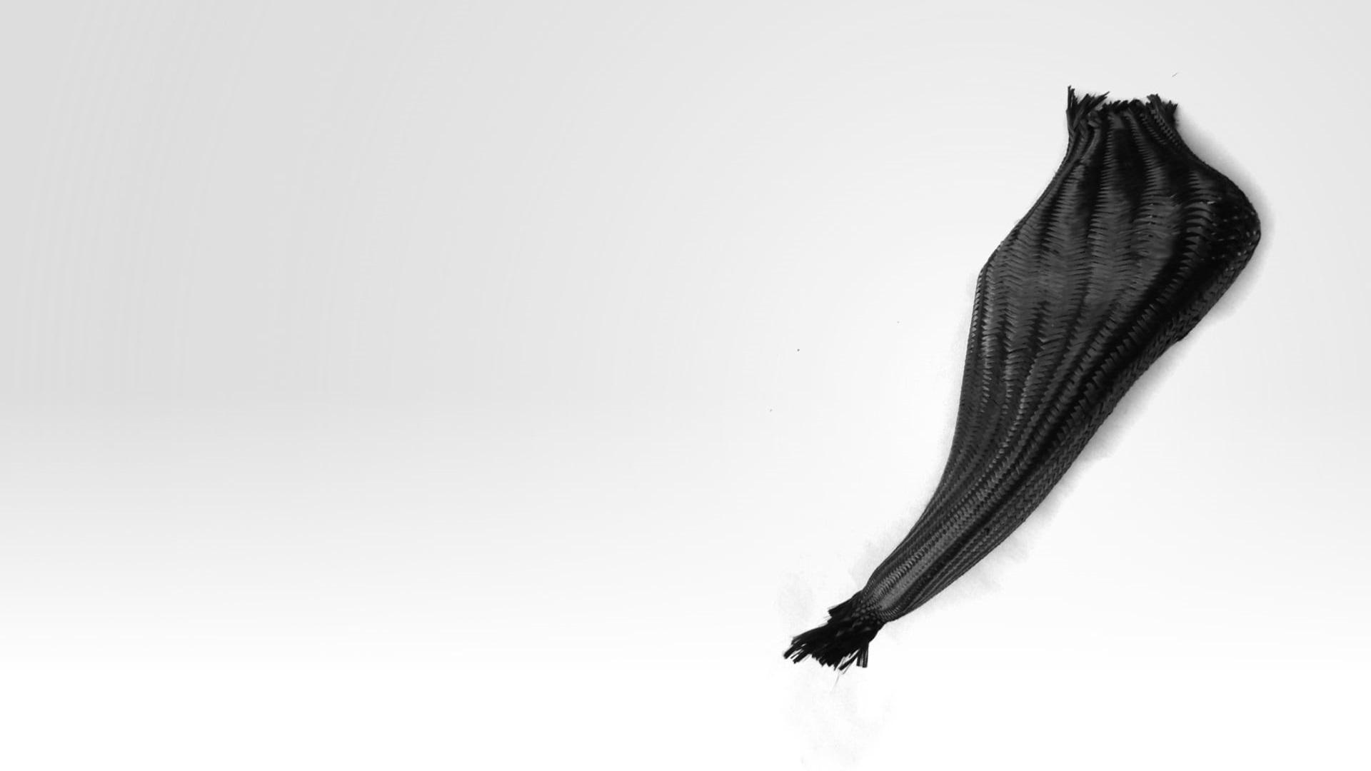 Copyright-Puma