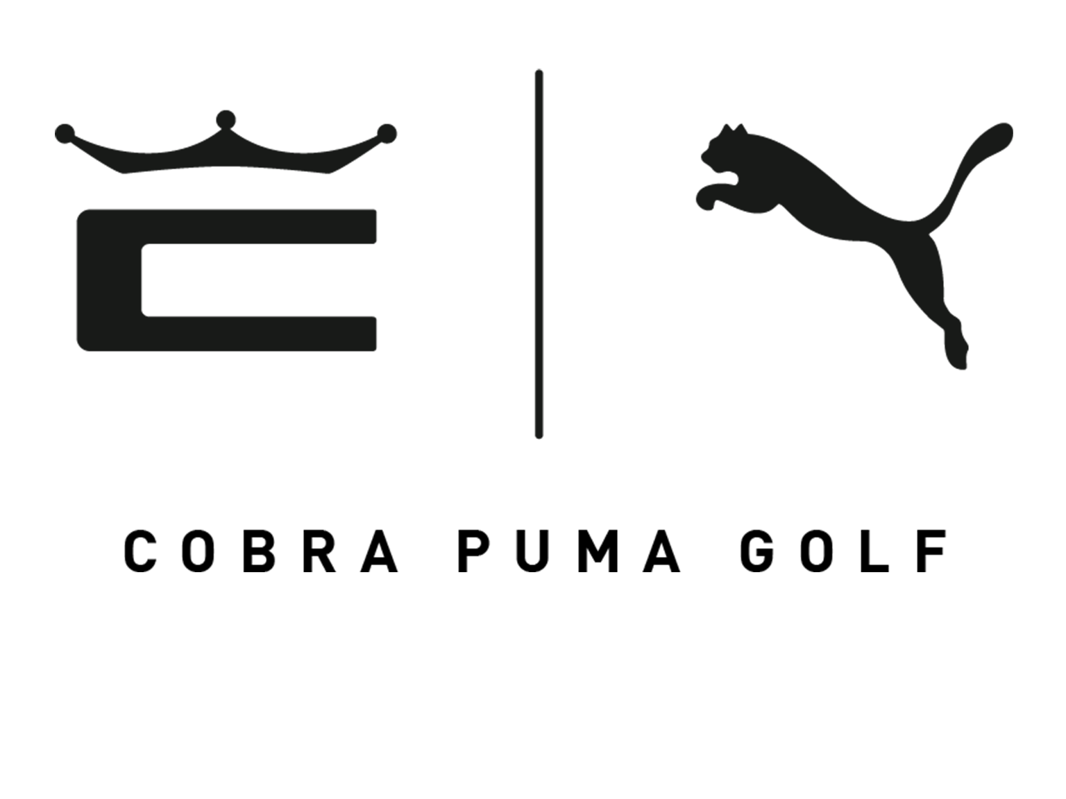 Puma Logo