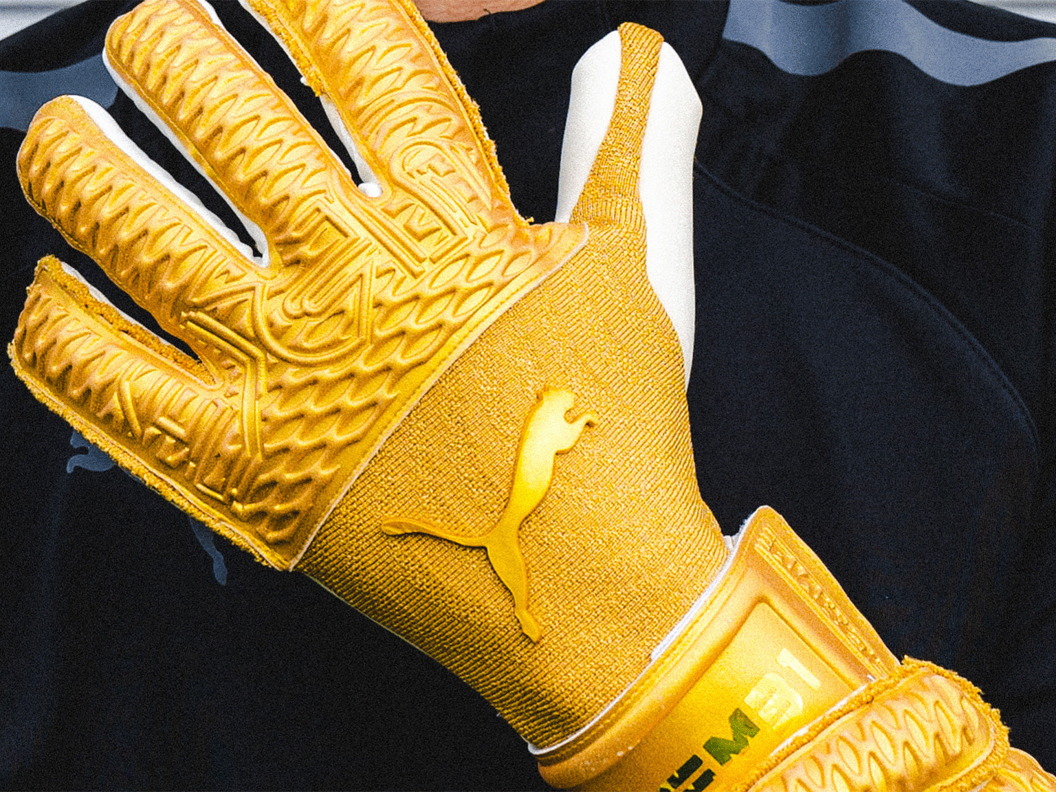 Puma goalkeeper clearance gloves 2020