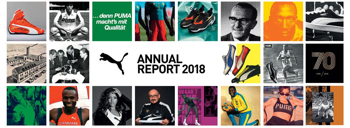 Puma 2019 annual clearance report