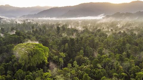 Header-Hilton-Leuser.jpg