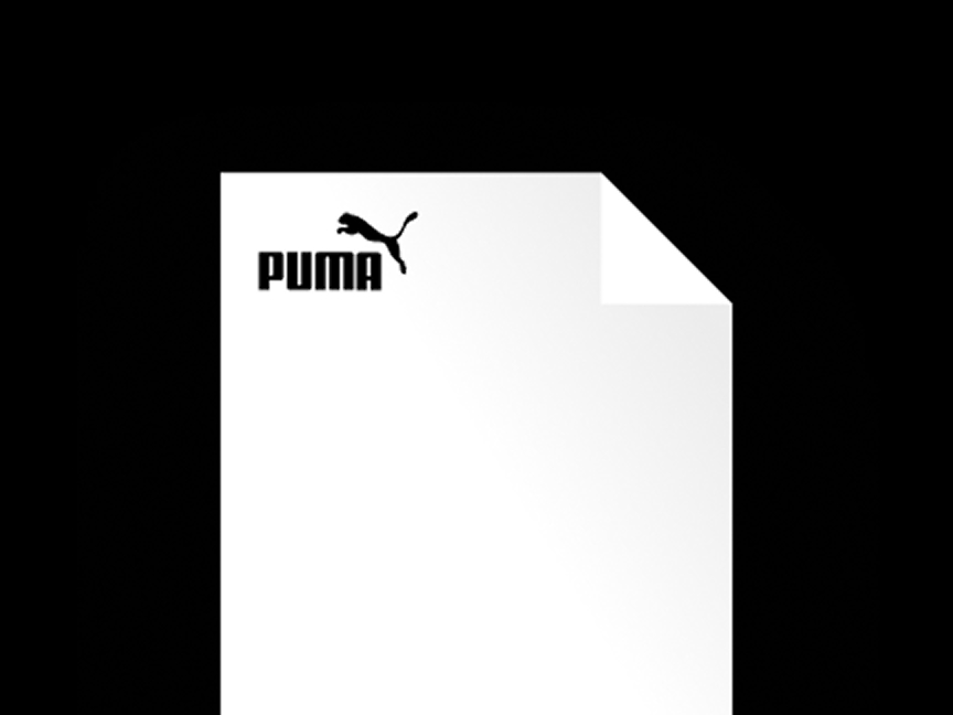 PDF Placeholder